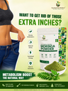 Moringa - Creative_ Weight Loss Image.png